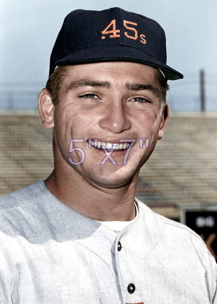 Jay Dahl - 1963 Houston Colt .45s - choose a size & style
