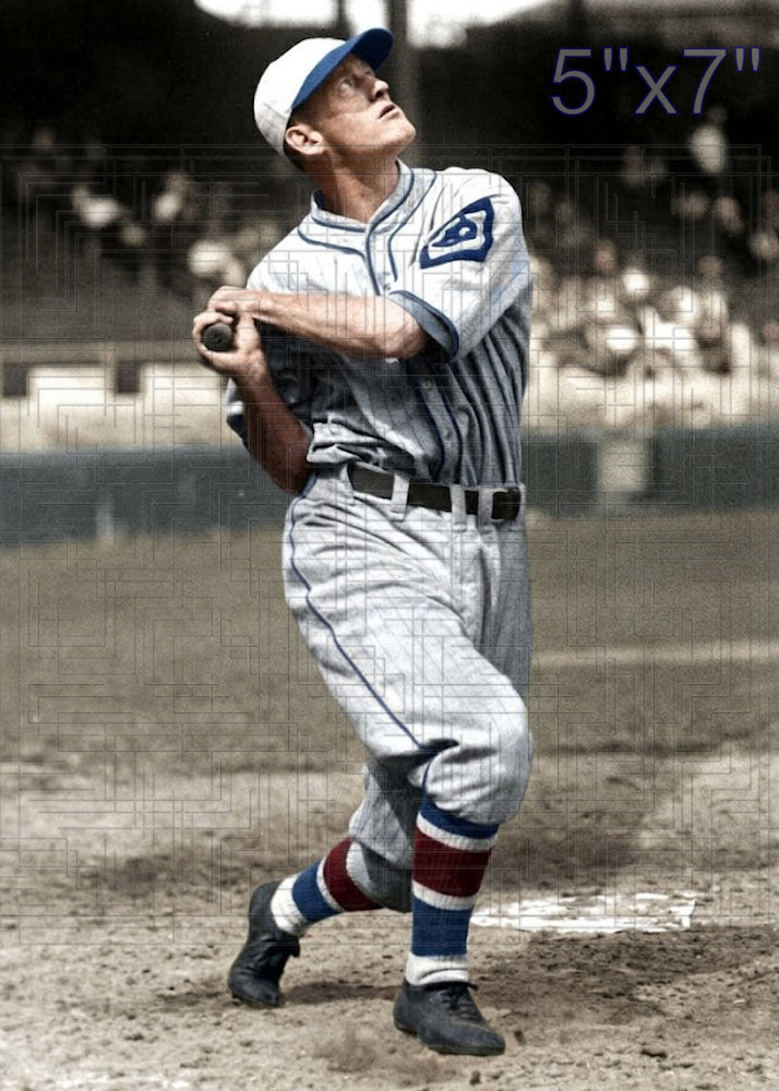 Jay Partridge - 1927 Brooklyn Robins - choose a size & style