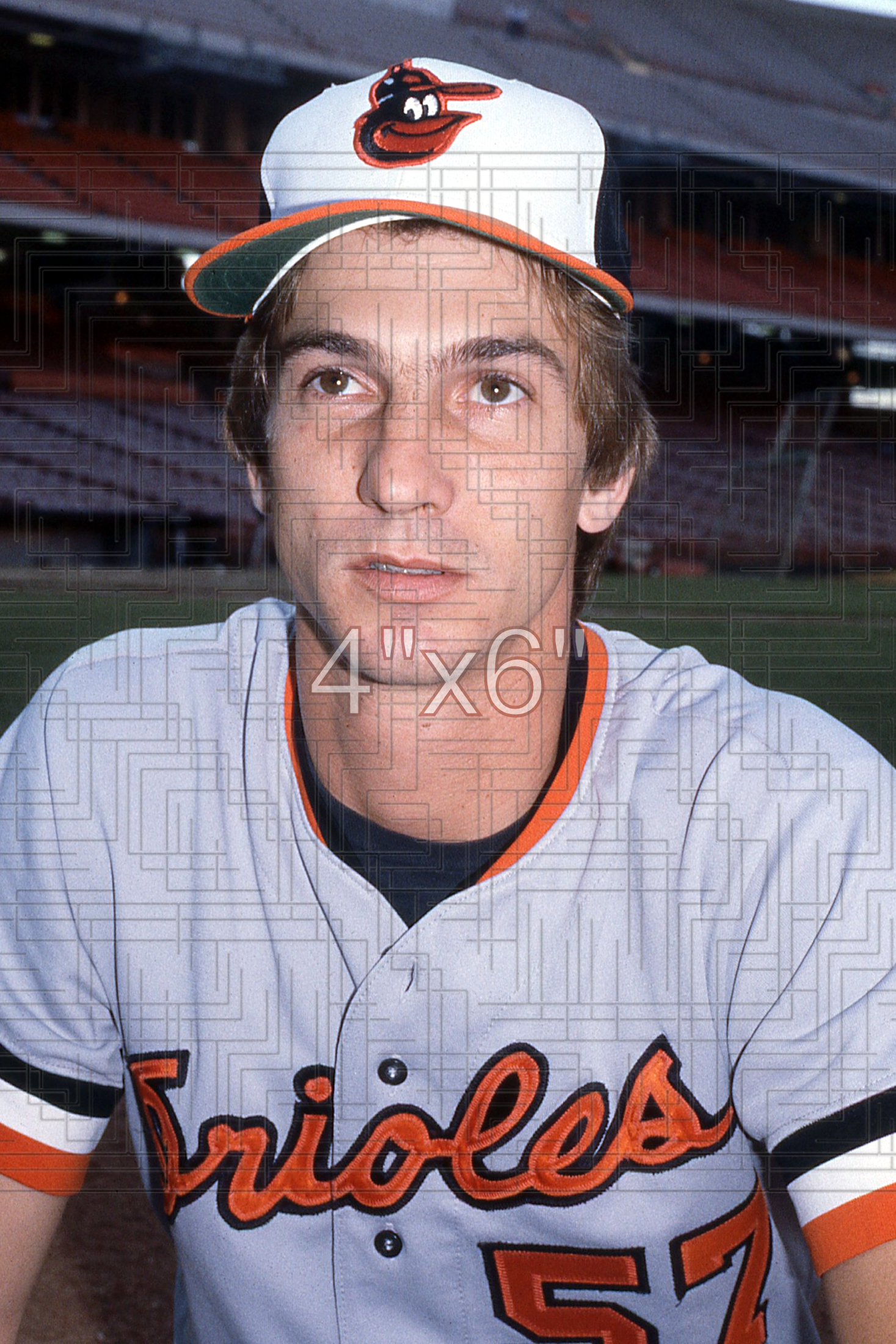 Jeff Schneider - 1981 Baltimore Orioles - choose a size & style