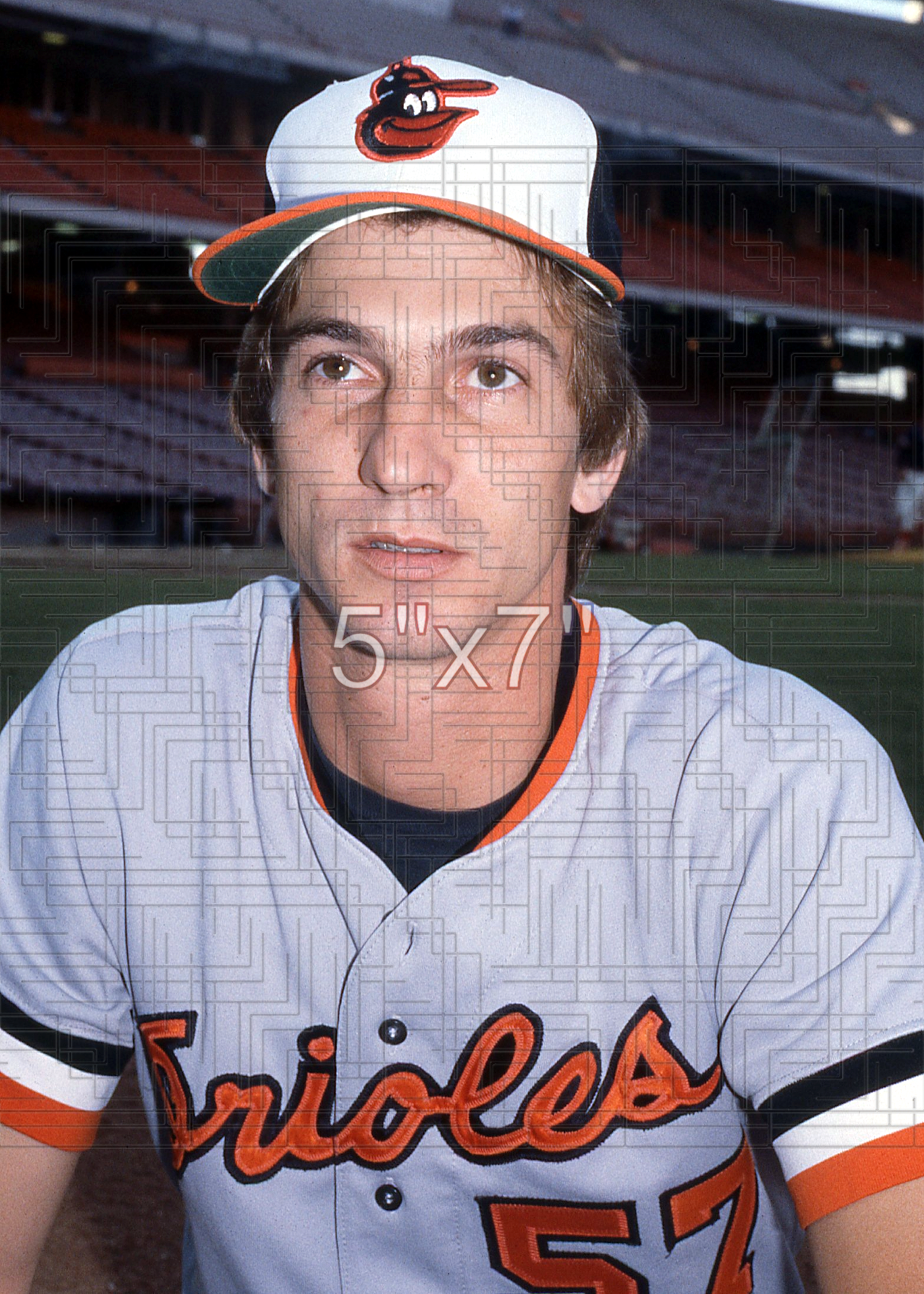 Jeff Schneider - 1981 Baltimore Orioles - choose a size & style