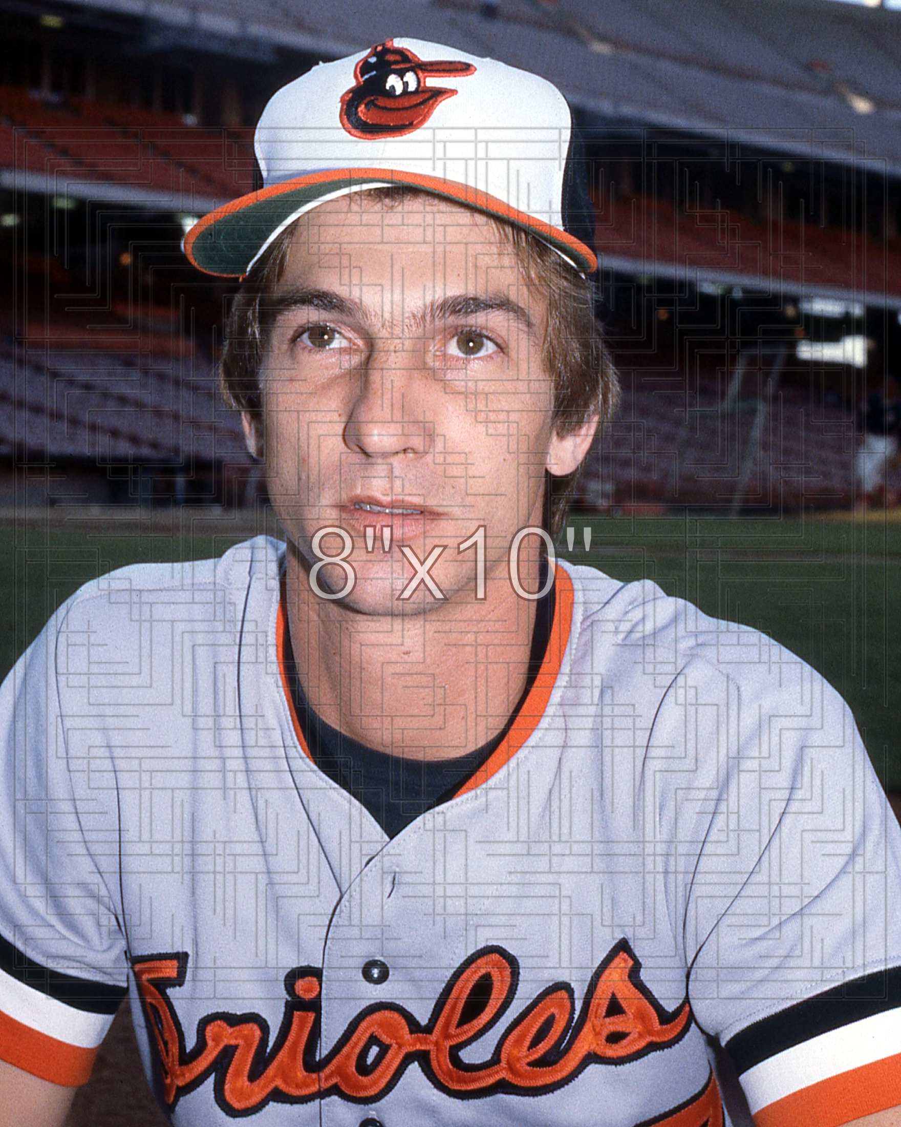 Jeff Schneider - 1981 Baltimore Orioles - choose a size & style