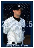 Jeremy Blevins - 2002 New York Yankees - choose a size & style
