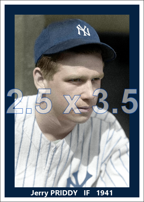 Jerry Priddy - 1941 New York Yankees - choose a size & style