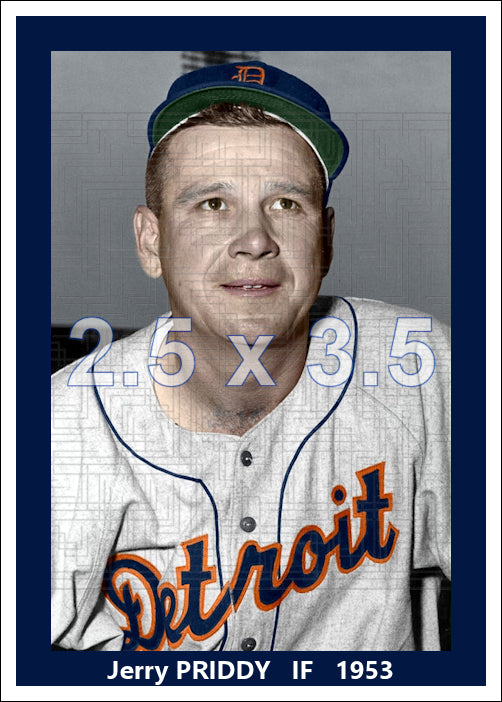 Jerry Priddy - 1953 Detroit Tigers - choose a size & style