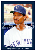 Jerry Royster - 1987 New York Yankees - choose a size & style