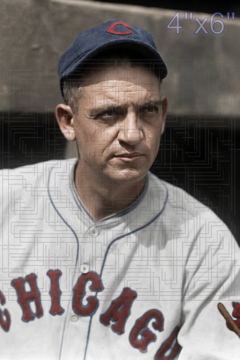 Jesse Petty - 1930 Chicago Cubs - choose a size & style