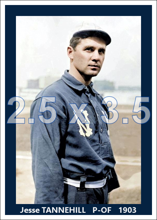Jesse Tannehill - 1903 New York Highlanders - choose a size & style