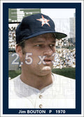 Jim Bouton - 1970 Houston Astros - choose a size & style