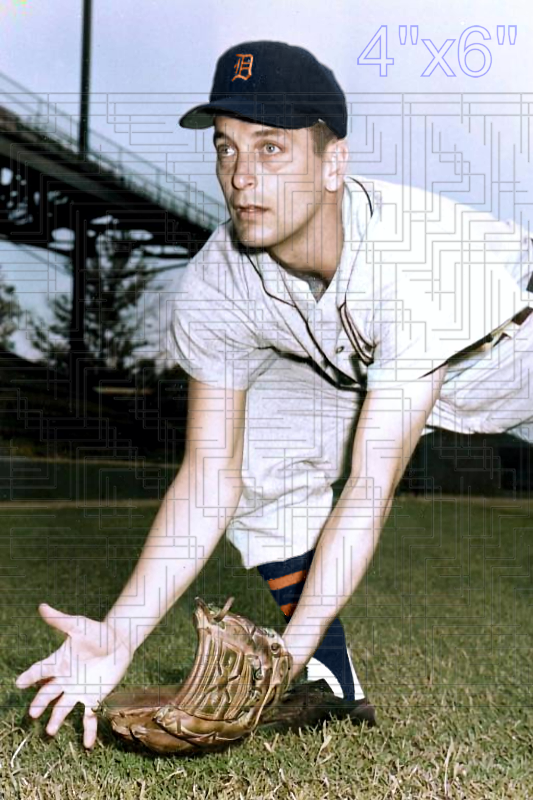 Jim Brideweser - 1956 Detroit Tigers - choose a size & style