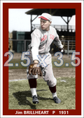 Jim Brillheart - 1931 Boston Red Sox - choose a size & style