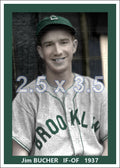Jim Bucher - 1937 Brooklyn Dodgers - choose a size & style