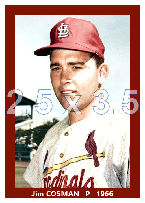 Jim Cosman - 1966 St. Louis Cardinals - choose a size & style