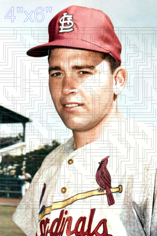 Jim Cosman - 1966 St. Louis Cardinals - choose a size & style