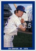 Jim Dwyer - 1976 New York Mets - choose a size & style