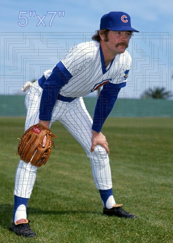 Jim Dwyer - 1977 Chicago Cubs - choose a size & style