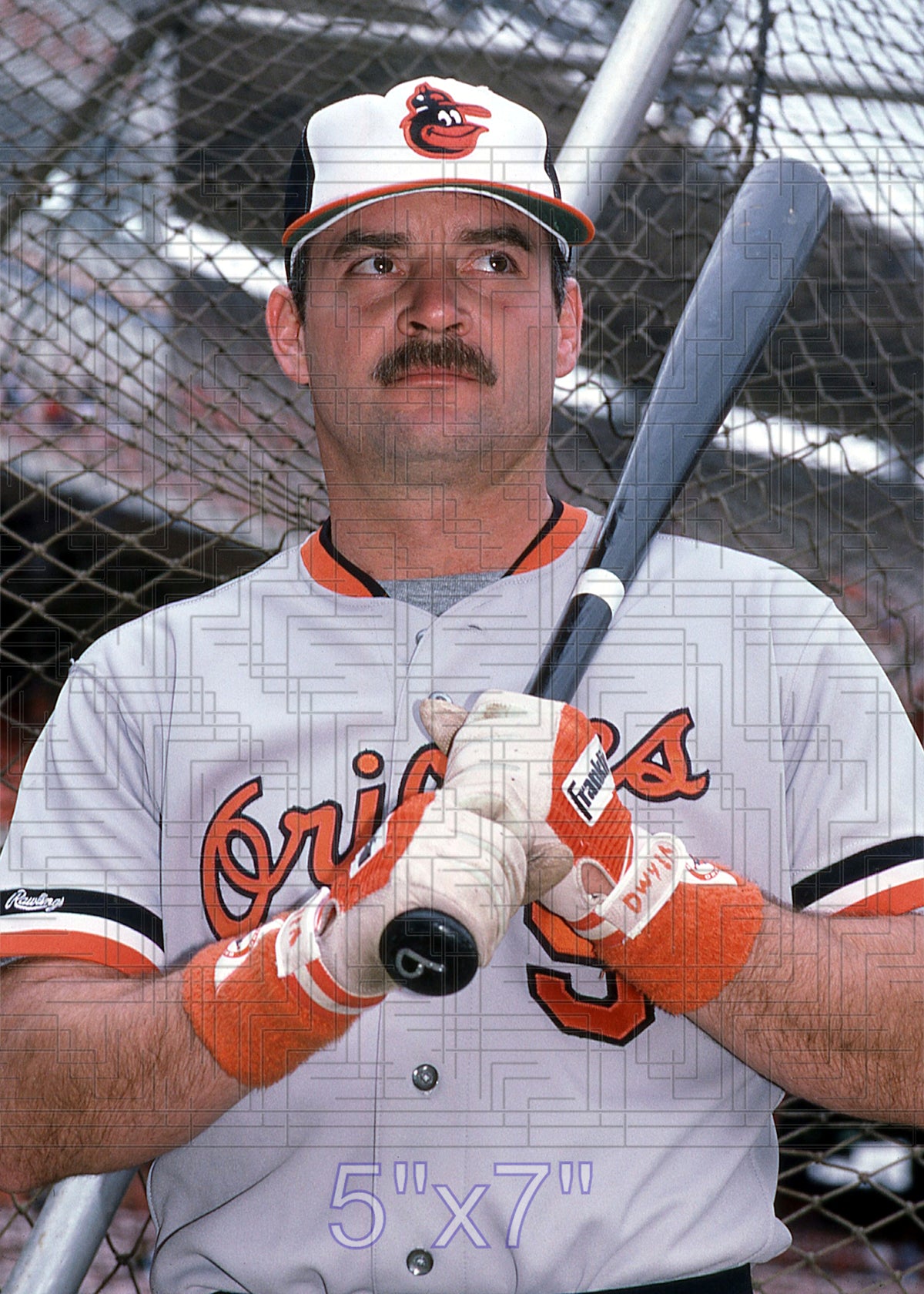 Jim Dwyer - 1987-88 Baltimore Orioles - choose a size & style