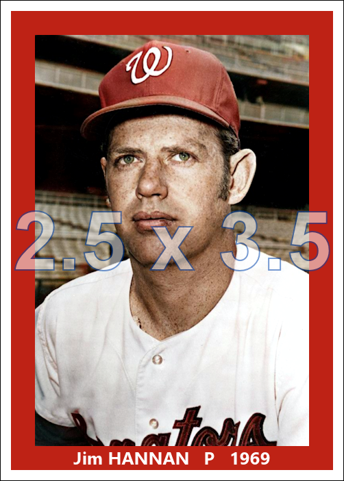 Jim Hannan - 1969 Washington Senators - choose a size & style