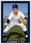 Jim Hannan - 1971 Detroit Tigers - choose a size & style