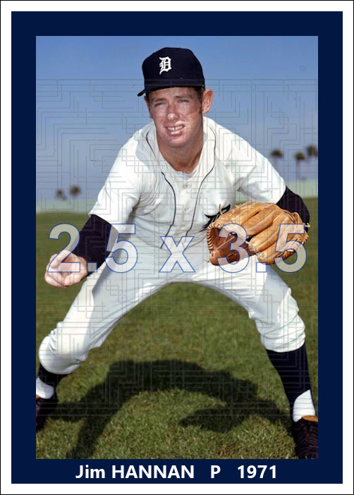 Jim Hannan - 1971 Detroit Tigers - choose a size & style