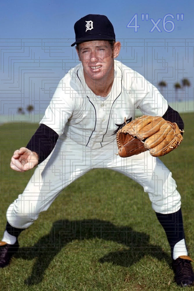 Jim Hannan - 1971 Detroit Tigers - choose a size & style