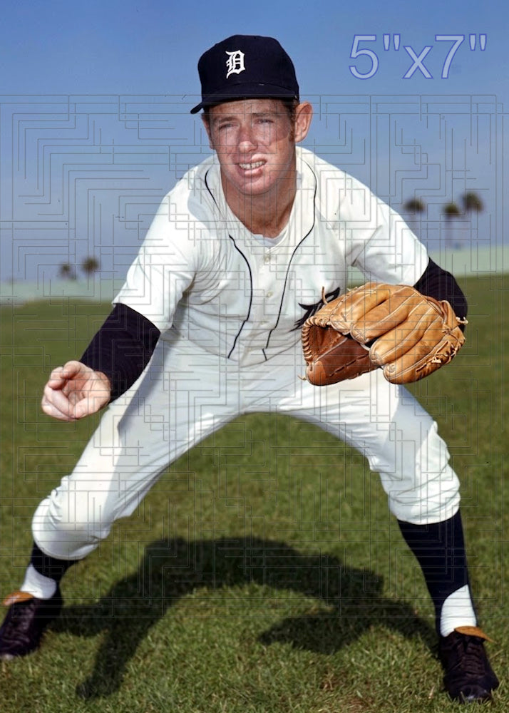 Jim Hannan - 1971 Detroit Tigers - choose a size & style