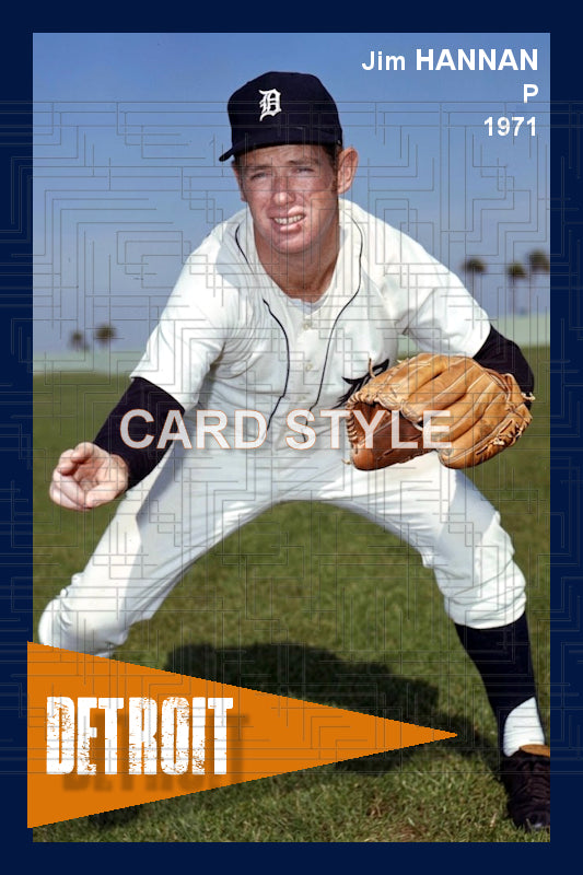 Jim Hannan - 1971 Detroit Tigers - choose a size & style