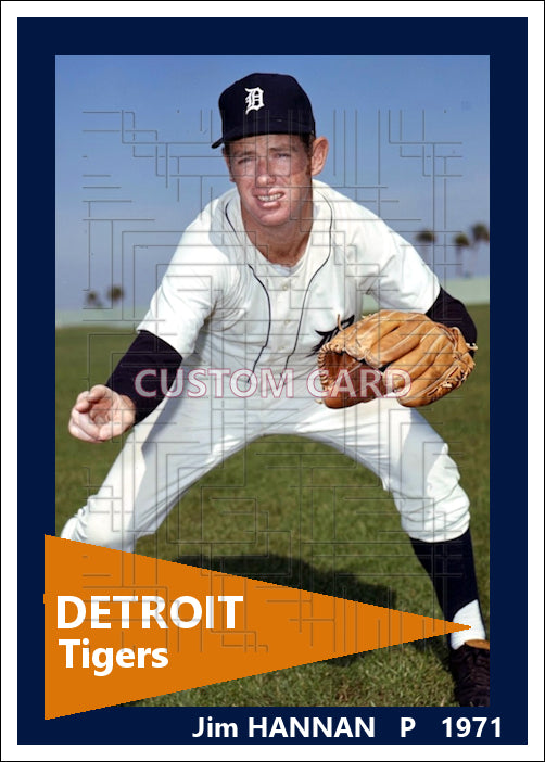 Jim Hannan - 1971 Detroit Tigers - choose a size & style