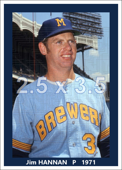 Jim Hannan - 1971 Milwaukee Brewers - choose a size & style