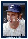 Jim Hardin - 1971 New York Yankees - choose a size & style