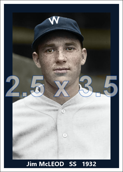 Jim McLeod - 1932 Washington Senators - choose a size & style