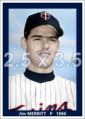 Jim Merritt - 1966 Minnesota Twins - choose a size & style