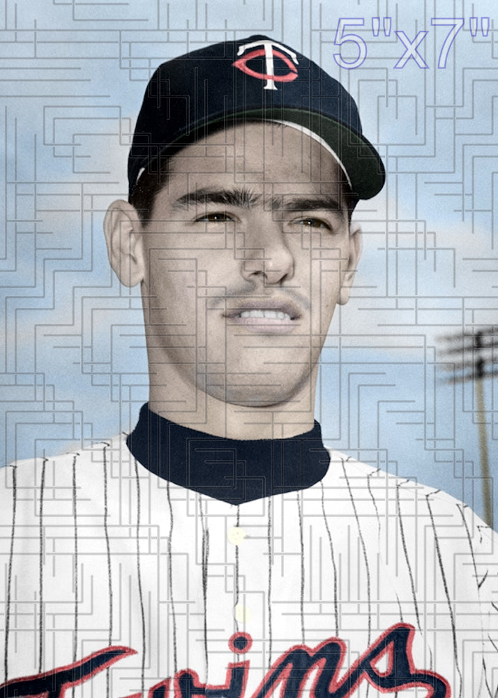 Jim Merritt - 1966 Minnesota Twins - choose a size & style