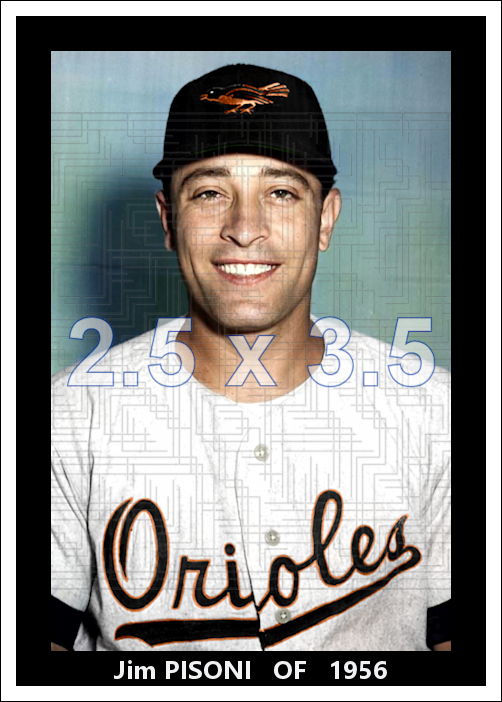 Jim Pisoni - 1956 Baltimore Orioles spring training - choose a size & style