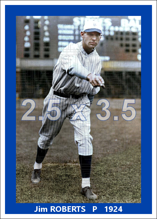 Jim Roberts - 1924 Brooklyn Robins - choose a size & style