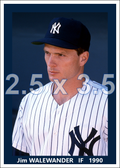 Jim Walewander - 1990 New York Yankees - choose a size & style