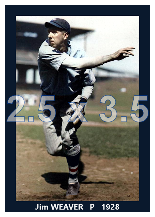 Jim Weaver - 1928 Washington Senators - choose a size & style