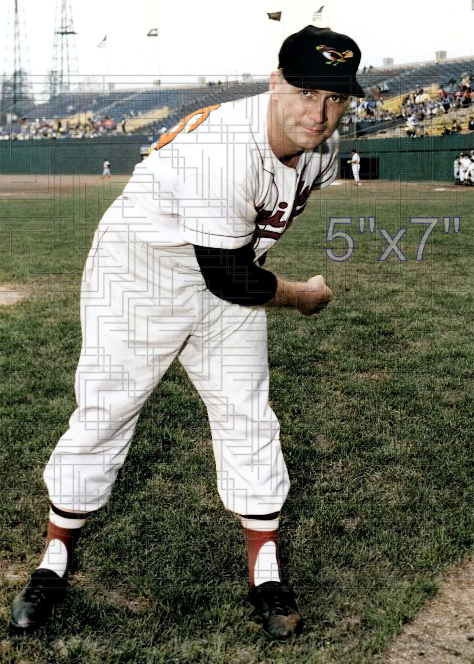 Jim Wilson - 1955 Baltimore Orioles - choose a size & style