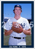 Jim York - 1976 New York Yankees - choose a size & style