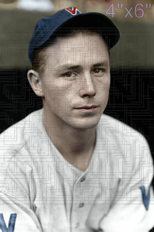Jimmy Wasdell - 1937 Washington Senators - choose a size & style