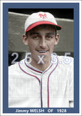 Jimmy Welsh - 1928 New York Giants - choose a size & style