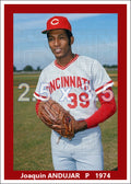 Joaquin Andujar - 1974 Cincinnati Reds - choose a size & style