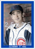 Joe Berry - 1942 Chicago Cubs - choose a size & style
