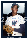 Joe Black - 1957 Washington Senators - choose a size & style