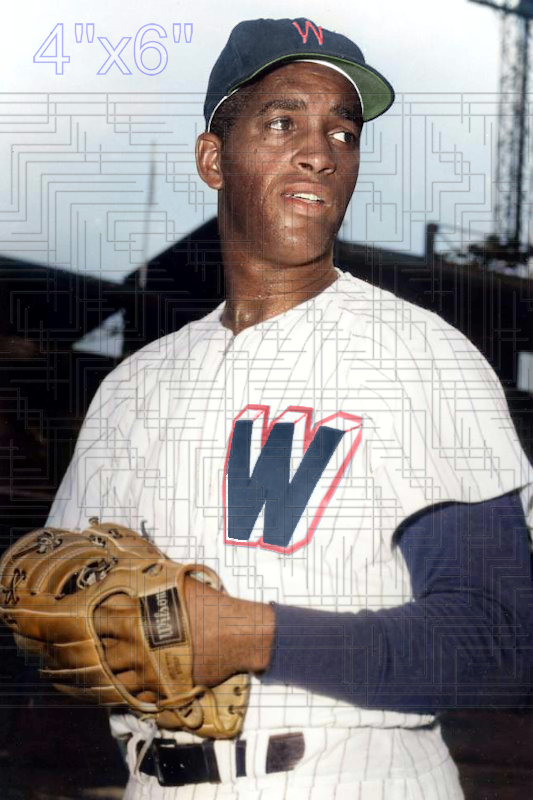 Joe Black - 1957 Washington Senators - choose a size & style