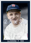 Joe Bokina - 1936 Washington Senators - choose a size & style