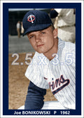 Joe Bonikowski - 1962 Minnesota Twins - choose a size & style