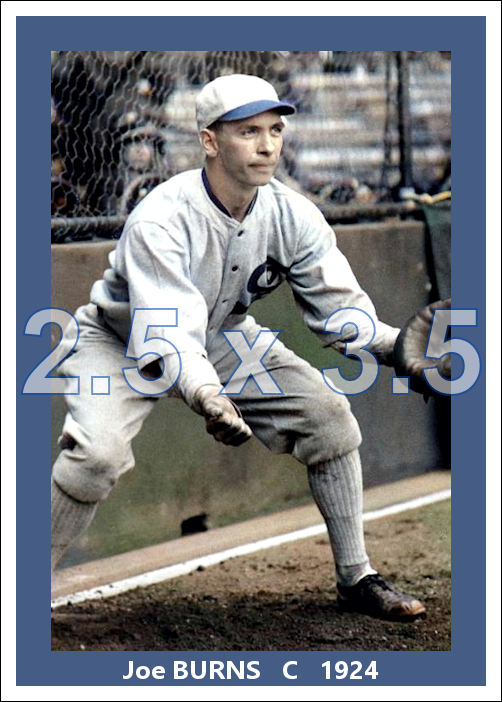 Joe Burns - 1924 Chicago White Sox - choose a size & style