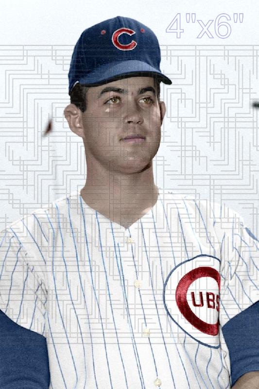 Joe Campbell - 1967 Chicago Cubs - choose a size & style