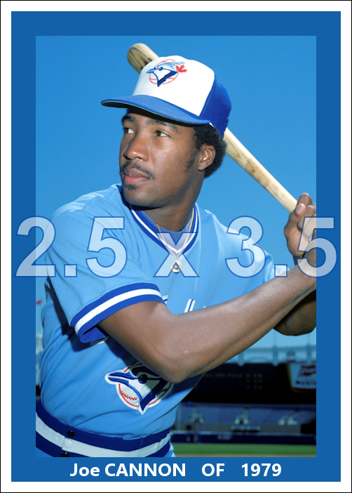 Joe Cannon - 1979 Toronto Blue Jays - choose a size & style