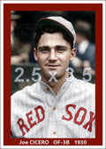 Joe Cicero - 1930 Boston Red Sox - choose a size & style